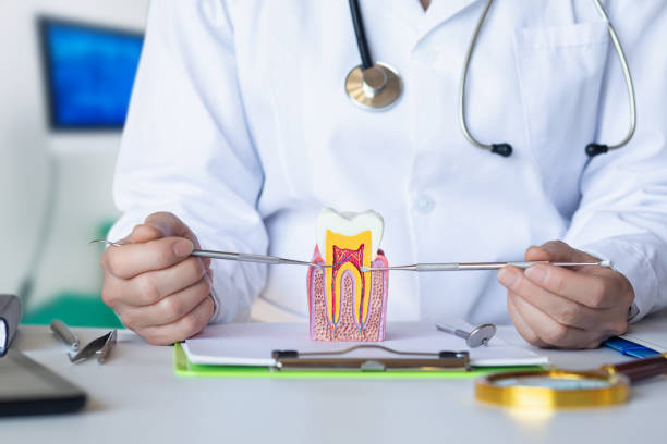 Best Emergency Cosmetic Dentistry in Youngsville, NC